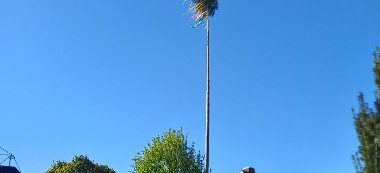 Maibaumfeier 2026